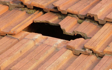 roof repair Bronwydd